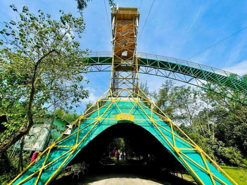 from-ho-chi-minh-can-gio-mangrove-forest-private-tour