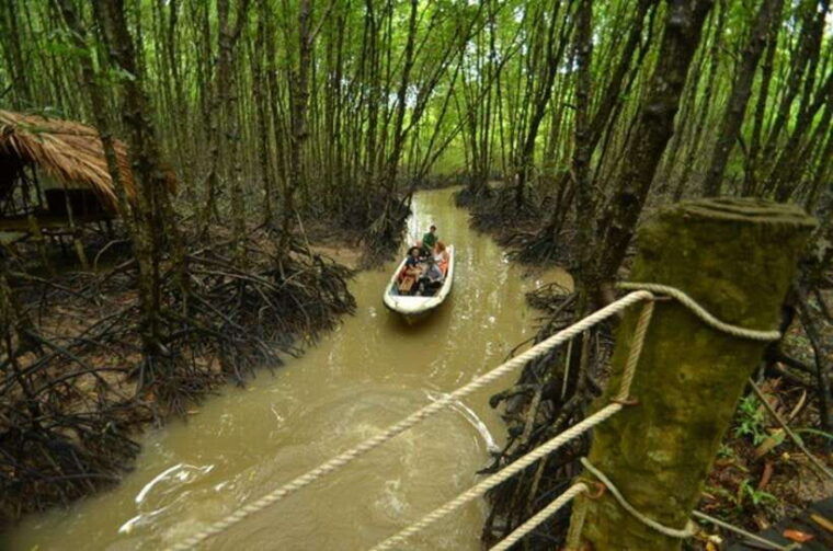 from-ho-chi-minh-can-gio-mangrove-forest-private-tour