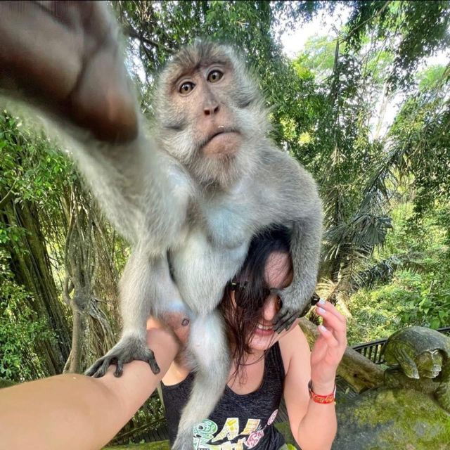 from-ho-chi-minh-can-gio-mangrove-forest