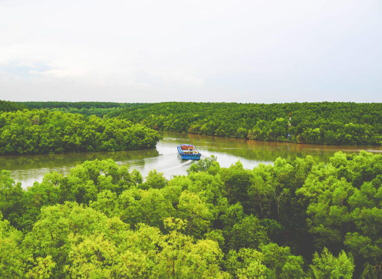 from-ho-chi-minh-can-gio-mangrove-group-or-private-tour
