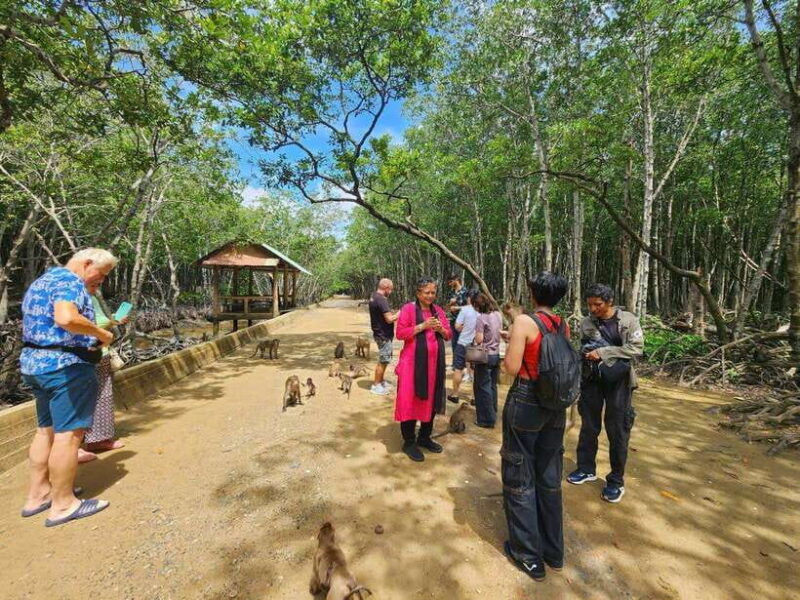 from-ho-chi-minh-can-gio-mangrove-monkey-island-day-trip