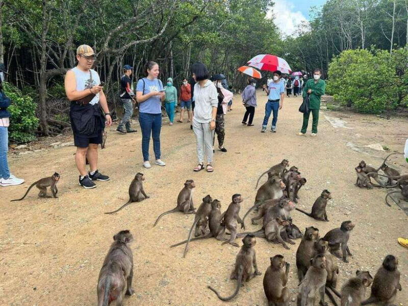 from-ho-chi-minh-city-1-day-tour-can-gio-monkey-island