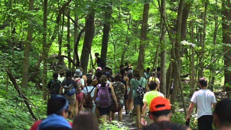 from-ho-chi-minh-city-can-gio-mangrove-forest-1-day-tour