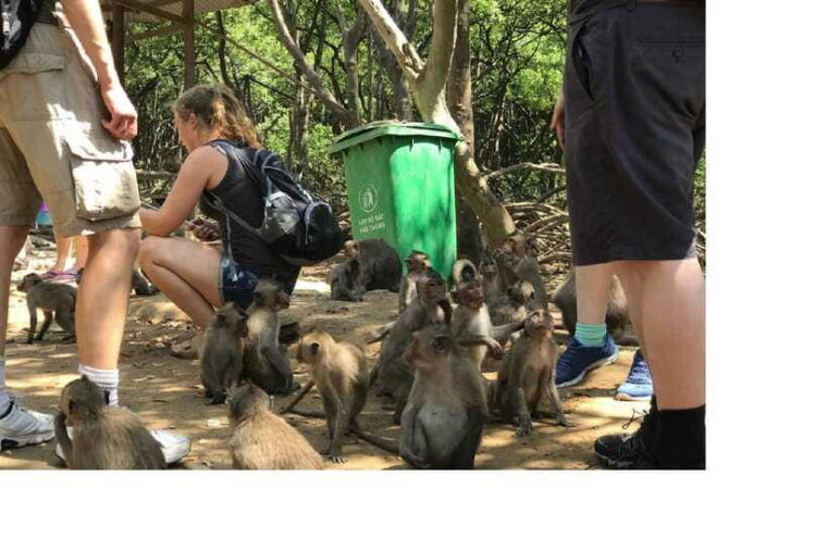 from-ho-chi-minh-city-can-gio-mangrove-forest-1-day-tour