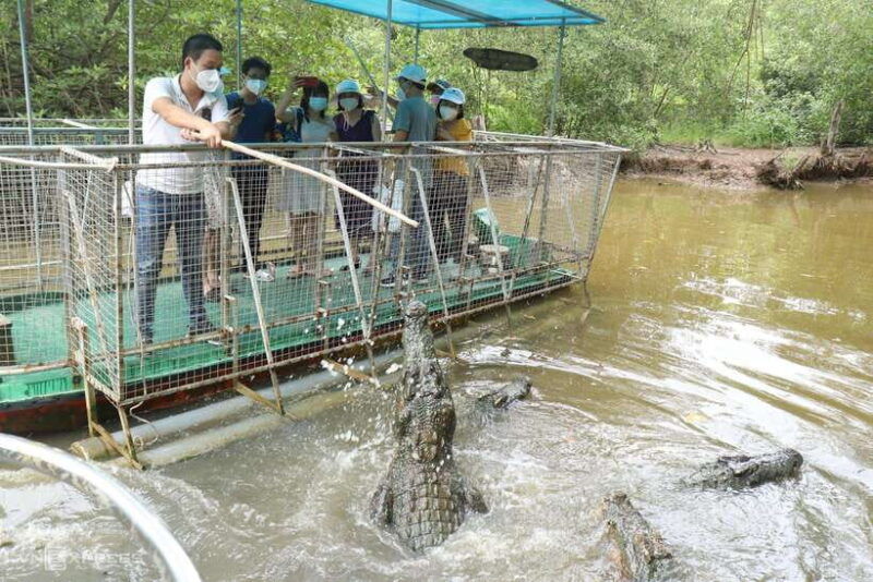 from-ho-chi-minh-city-can-gio-mangrove-forest-day-tour