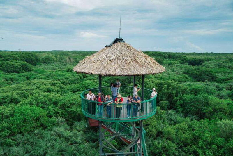 from-ho-chi-minh-city-can-gio-mangrove-forest-day-tour