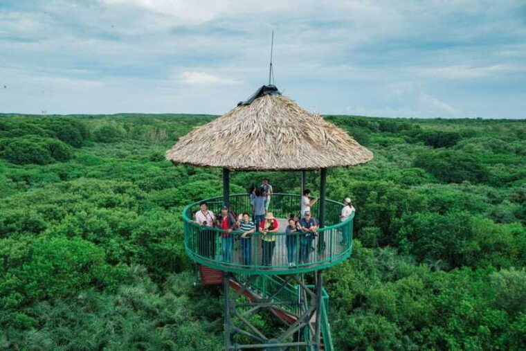 from-ho-chi-minh-city-can-gio-mangrove-forest-day-tour