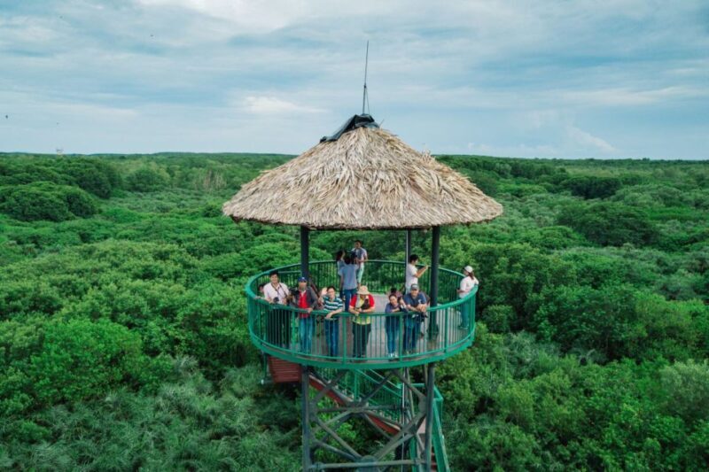From Ho Chi Minh City: Can Gio Mangrove Guided Forest Tour - An In-Depth Look at the Can Gio Mangrove Forest Tour