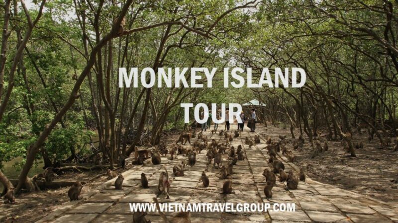 From Ho Chi Minh City: Can Gio Mangrove Guided Forest Tour - Final Thoughts: Is This Tour Worth It?