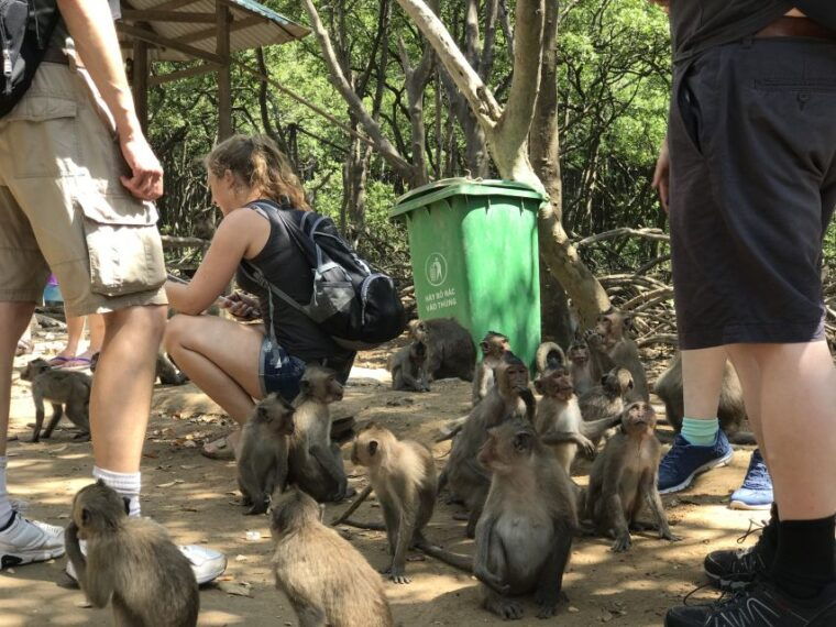 from-ho-chi-minh-city-can-gio-mangrove-guided-forest-tour