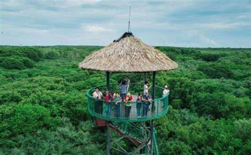 from-ho-chi-minh-city-can-gio-mangrove-monkey-island-day