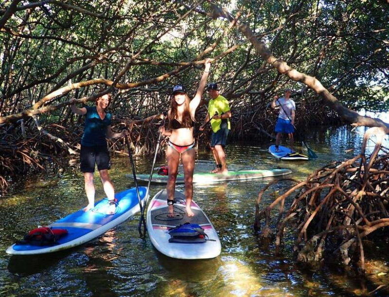 from-ho-chi-minh-city-can-gio-mangrove-monkey-island-day