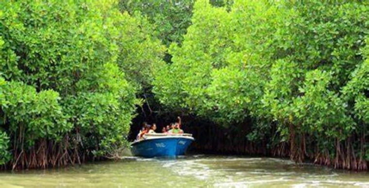 from-ho-chi-minh-city-can-gio-mangrove-monkey-island-day