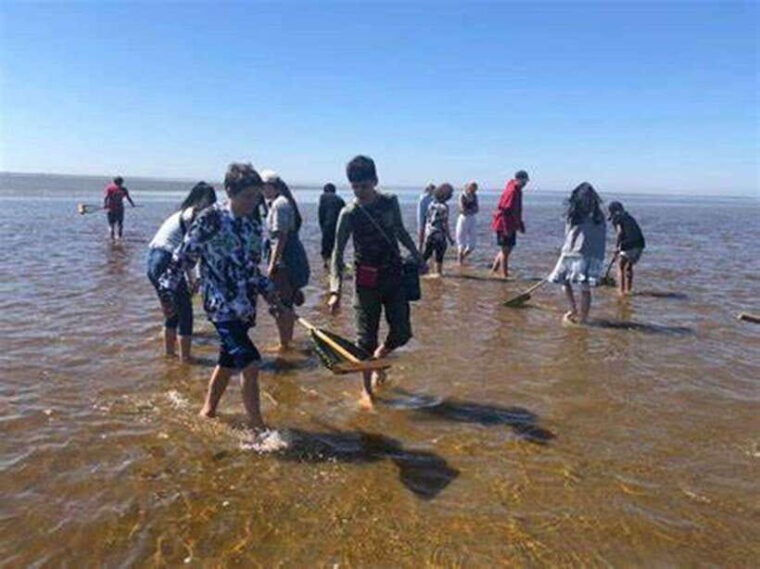 from-ho-chi-minh-city-can-gio-mangrove-monkey-island-day