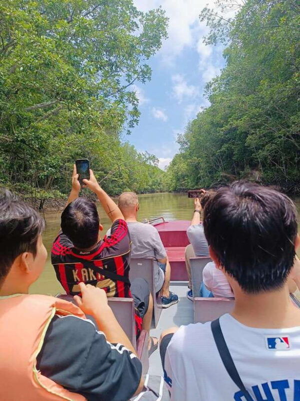 from-ho-chi-minh-city-can-gio-mangrove-monkey-island-trek