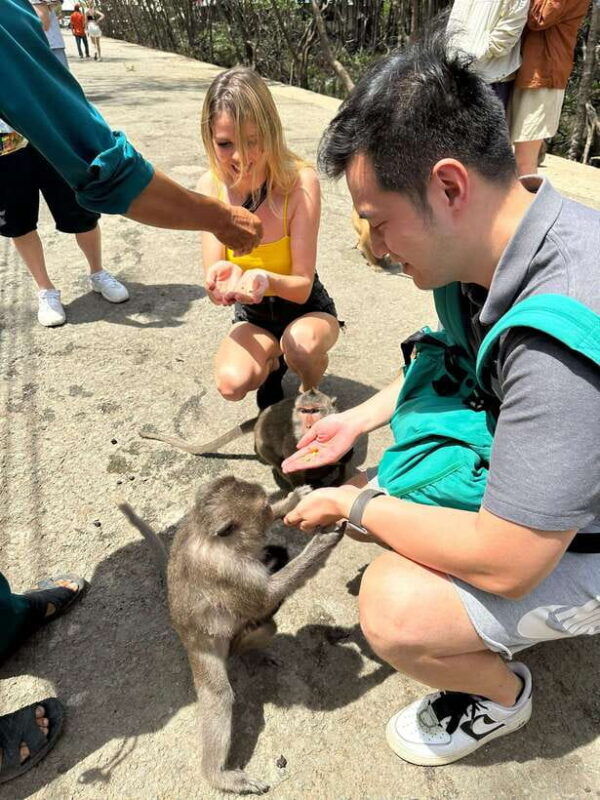from-ho-chi-minh-city-can-gio-mangrove-monkey-island-trek