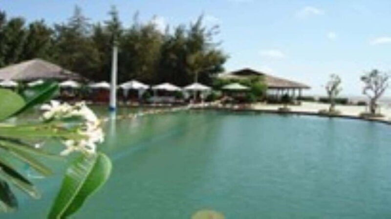 from-ho-chi-minh-city-can-gio-monkey-island-day-tour