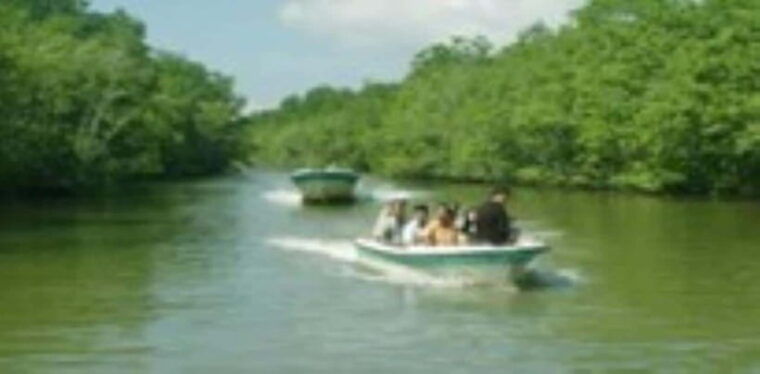 from-ho-chi-minh-city-can-gio-monkey-island-day-tour