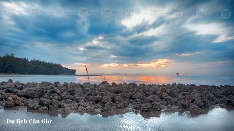 from-ho-chi-minh-city-can-gio-monkey-island-day-trip-2