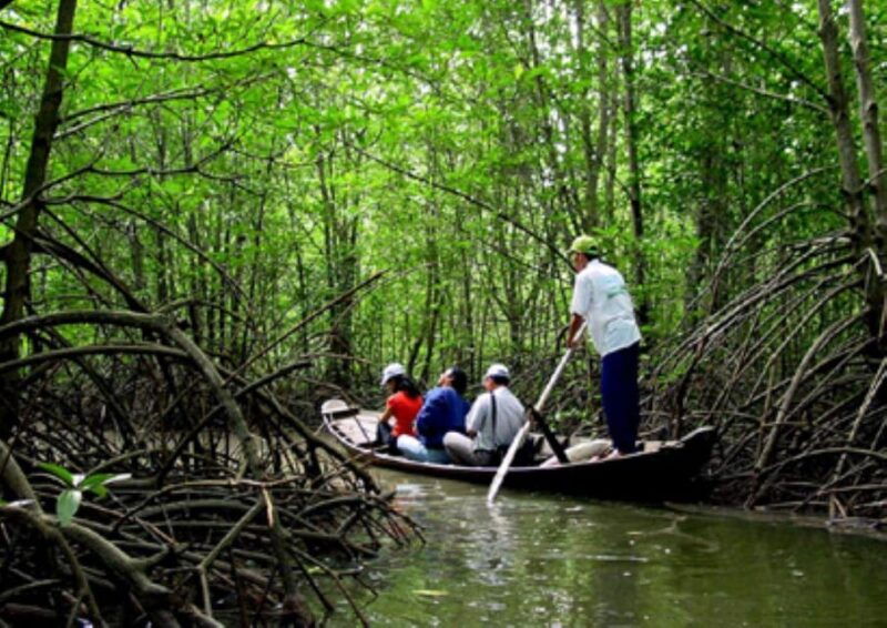 from-ho-chi-minh-city-group-tour-can-gio-mangrove-forest-2