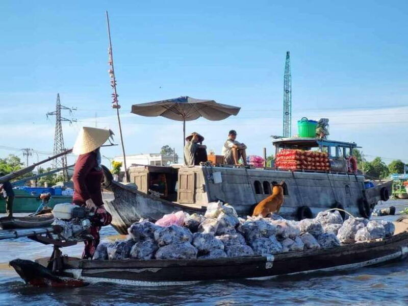 from-ho-chi-minh-city-mekong-delta-2d1n-with-3-star-hotel-3