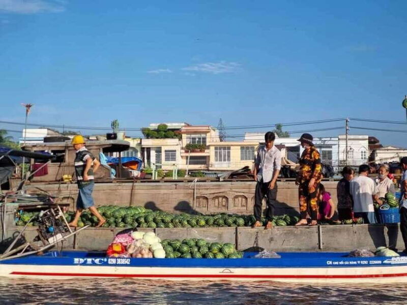 from-ho-chi-minh-city-mekong-delta-2d1n-with-3-star-hotel