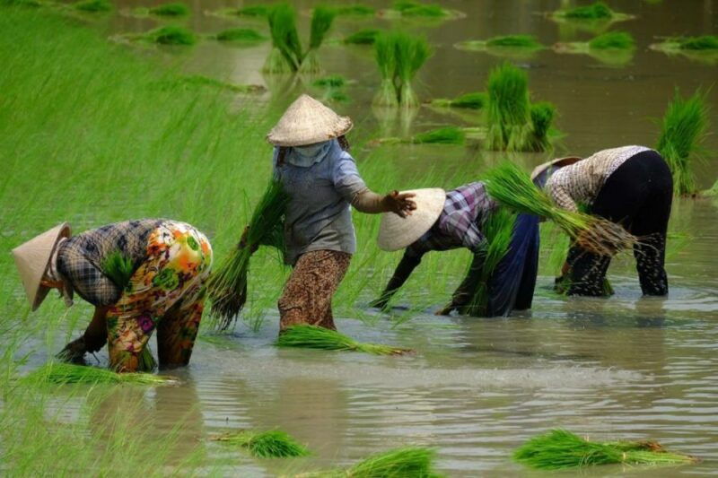 from-ho-chi-minh-city-mekong-delta-full-day-private-tour
