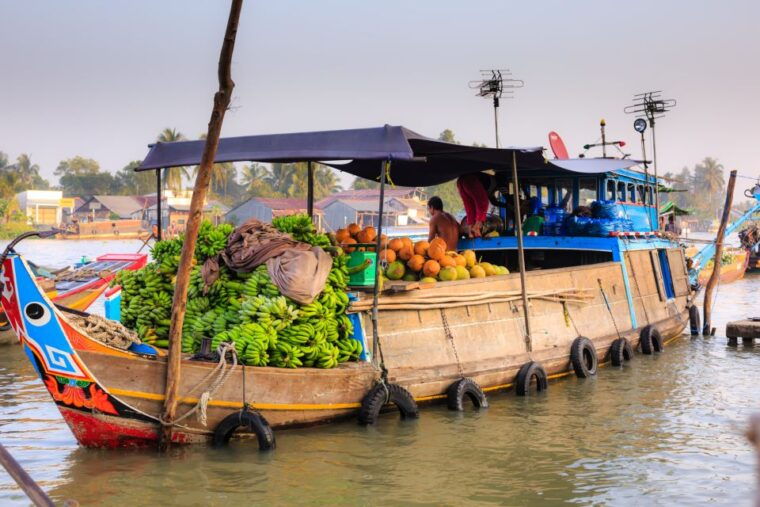 from-ho-chi-minh-city-mekong-delta-full-day-private-tour
