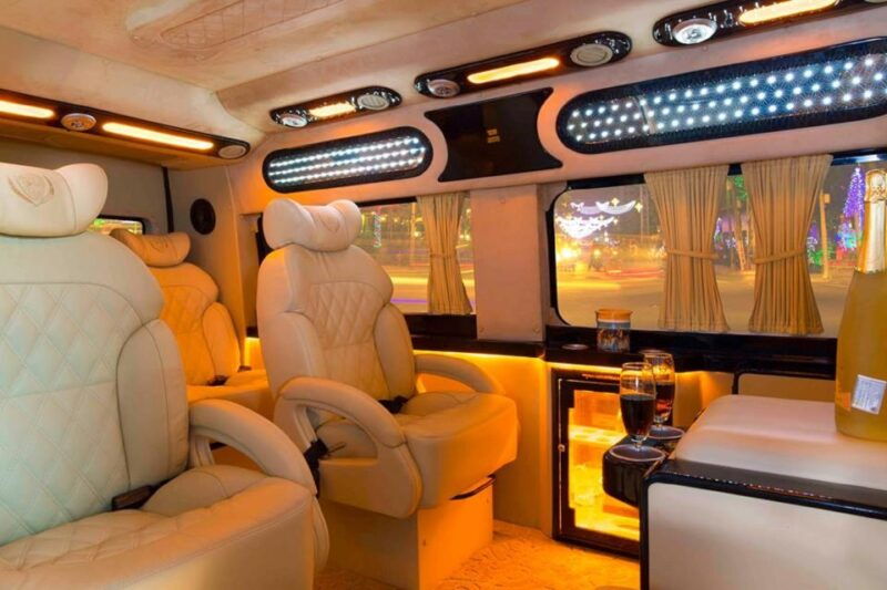 from-ho-chi-minh-city-mekong-delta-vip-tour-by-limousine