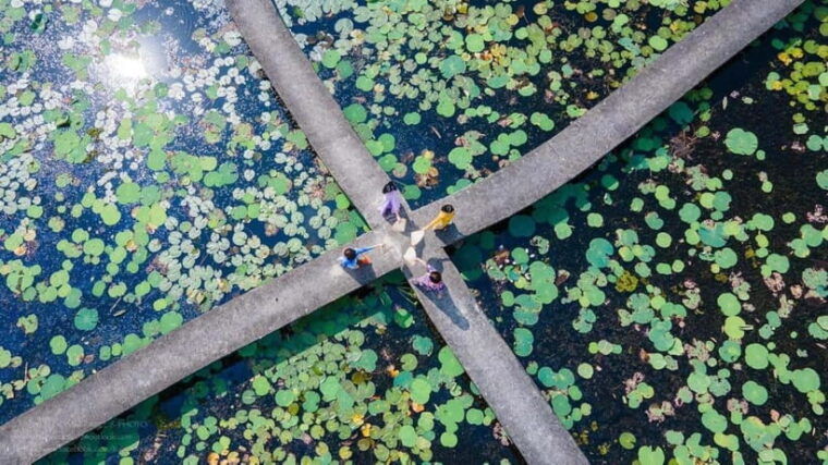 from-ho-chi-minh-city-tan-lap-floating-village-eco-day-tour
