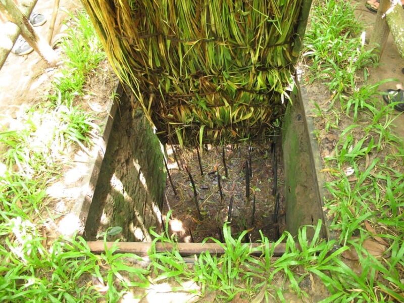 From Ho Chi Minh: Cu Chi Tunnels Tour| Morning or Afternoon - Who Will Love This Tour?