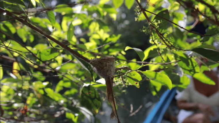 from-ho-chi-minh-full-day-floating-market-nature-reserve