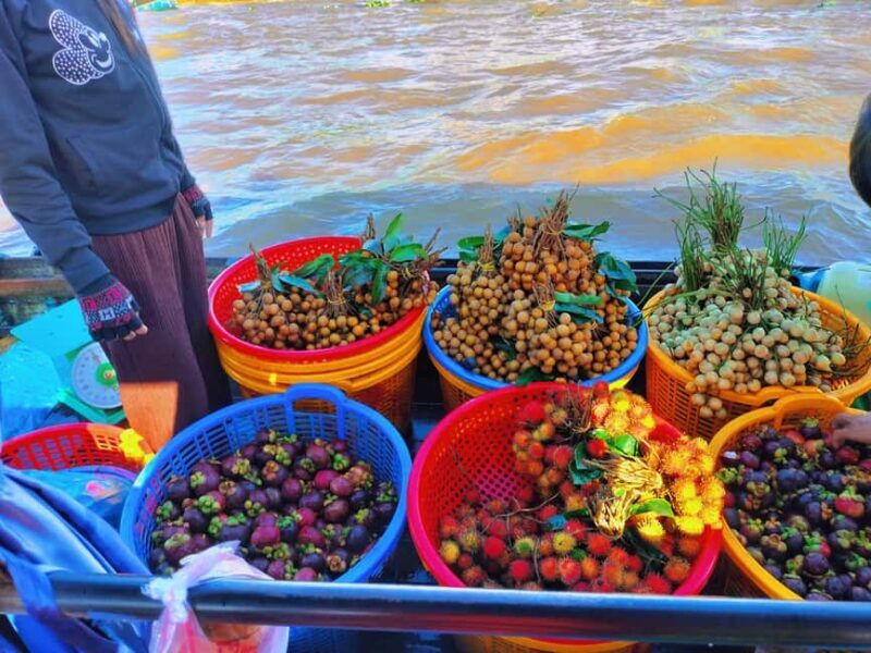From Ho Chi Minh: Mekong 2-Day Tour Cai Rang Floating Market - Key Points