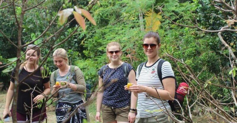 from-ho-chi-minh-mekong-delta-2-days-group-or-private