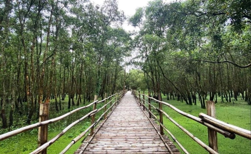 From Ho Chi Minh: Mekong Delta 3-Day Tour with Tra Su Forest - Key Points