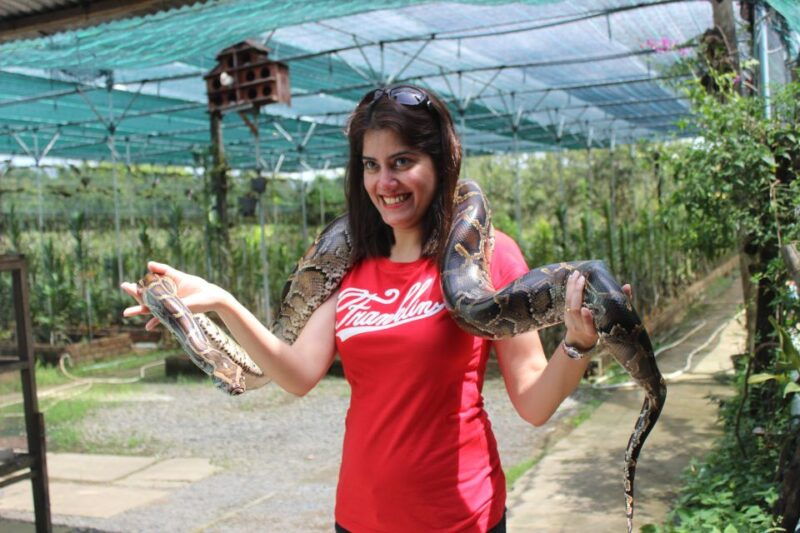 from-ho-chi-minh-mekong-delta-private-day-tour