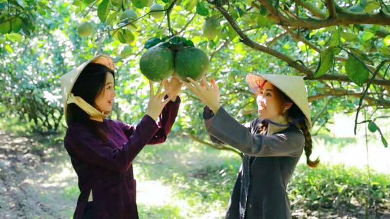 From Ho Chi Minh: Mekong Delta Tour to My Tho & Ben Tre 1Day - FAQ