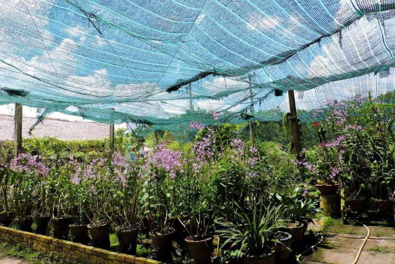 from-ho-chi-minh-mekong-delta-tour-with-cooking-class