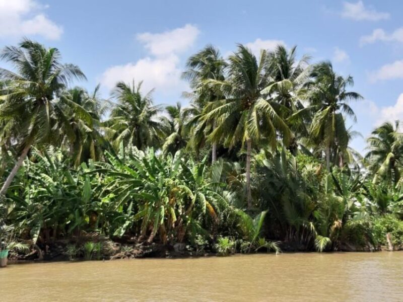 From Ho Chi Minh: Mekong Delta with Ben Tre 1 Day Tour - Practical Tips