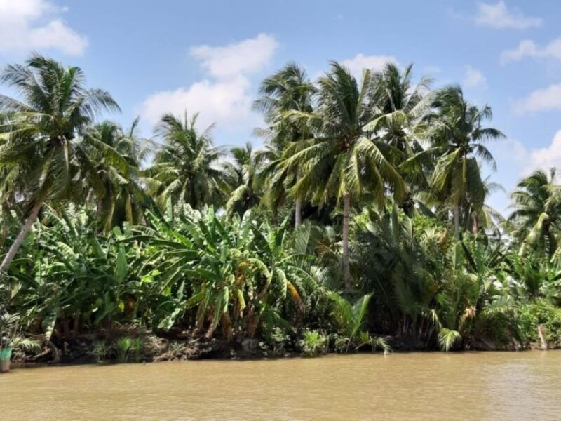 from-ho-chi-minh-mekong-delta-with-ben-tre-1-day-tour