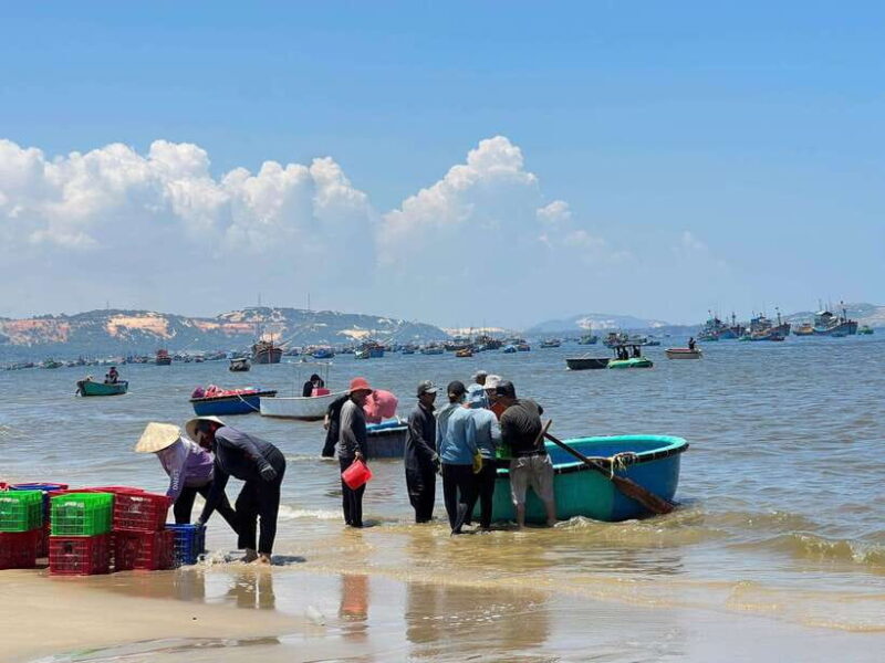 From Ho Chi Minh: Mui Ne and Phan Thiet Day Trip - Key Points