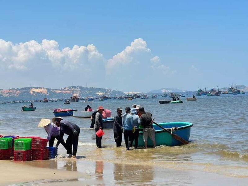 From Ho Chi Minh: Mui Ne and Phan Thiet Day Trip - Who Is This Tour Best Suited For?