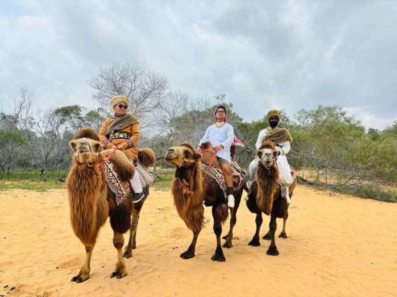 From Ho Chi Minh: Mui Ne and Phan Thiet Day Trip - Final Thoughts: Does It Offer Good Value?