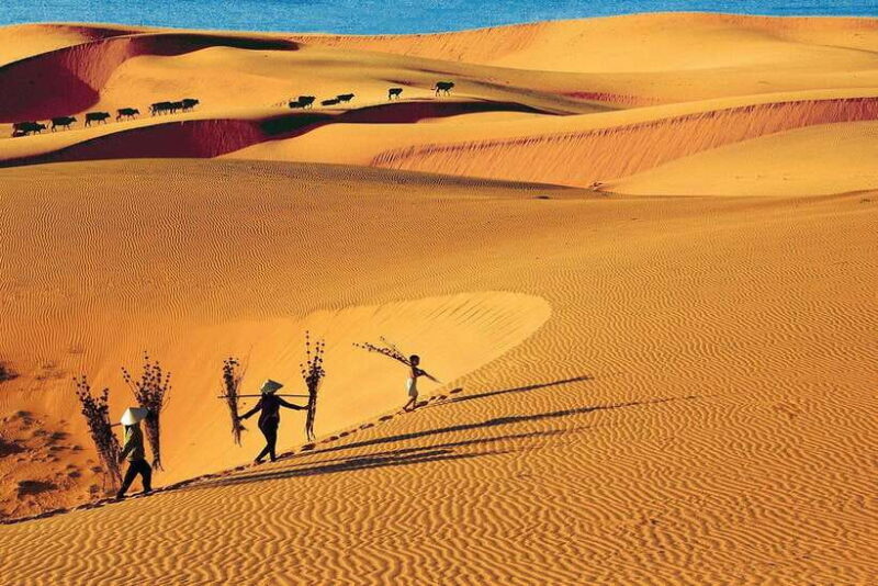 From Ho Chi Minh: Mui Ne White Sand Dunes Day Trip - Frequently Asked Questions