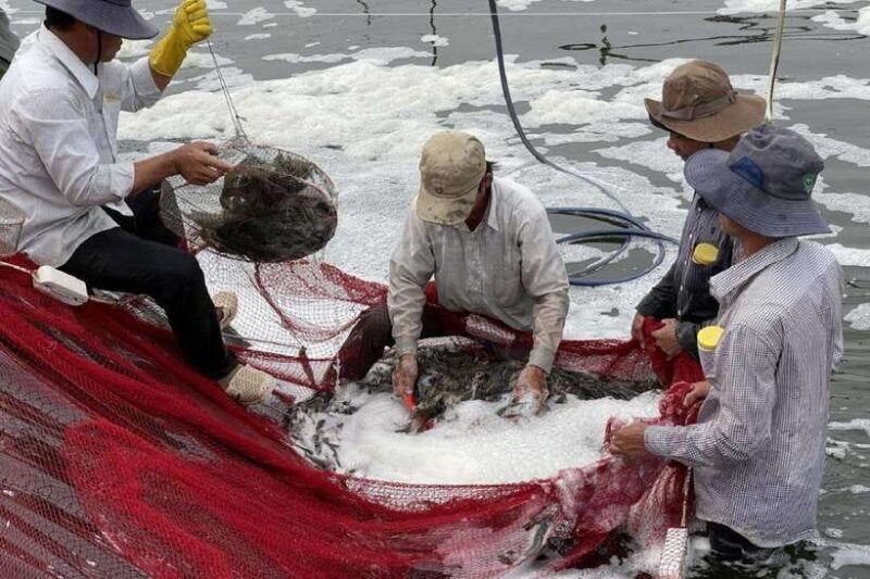 from-ho-chi-minh-private-vung-tau-beach-tour-with-lunch