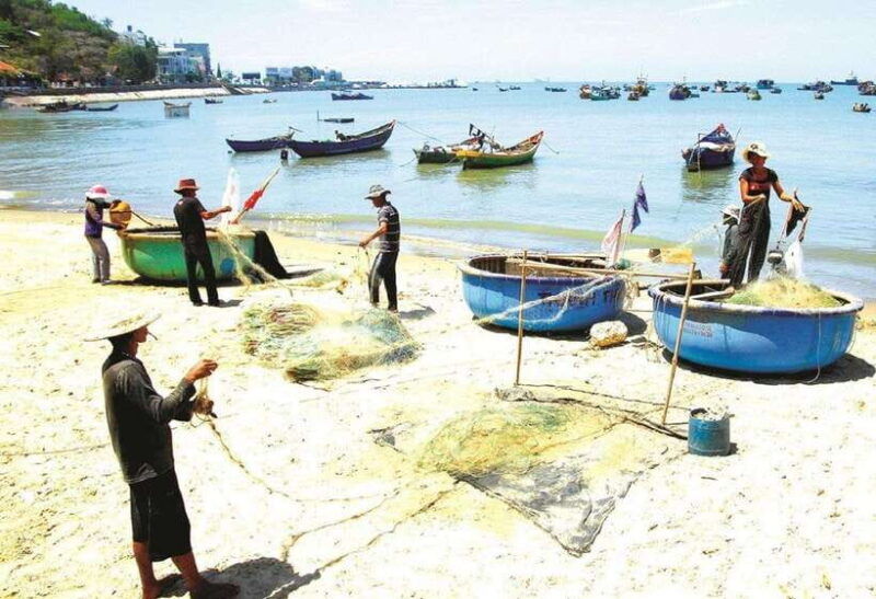 from-ho-chi-minh-private-vung-tau-beach-tour-with-lunch
