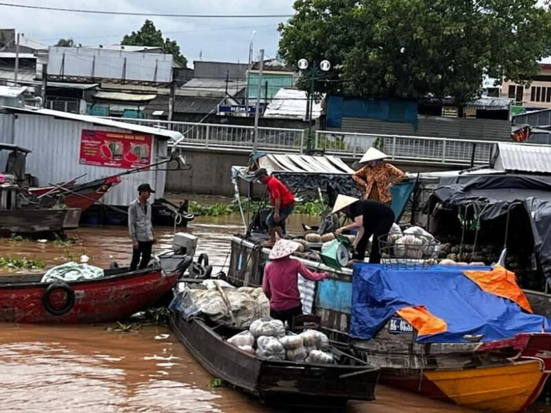 From Ho Chi Minh: The Floating Market - Bird Sanctuary 2Days - Key Points