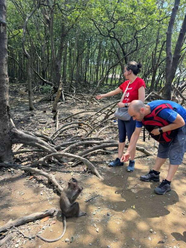 from-ho-chi-minh-trek-can-gio-mangrove-monkey-island