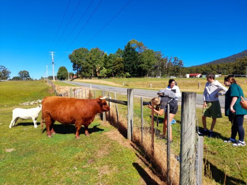 From Hobart: Active Day Trip to Cradle Mountain - FAQs