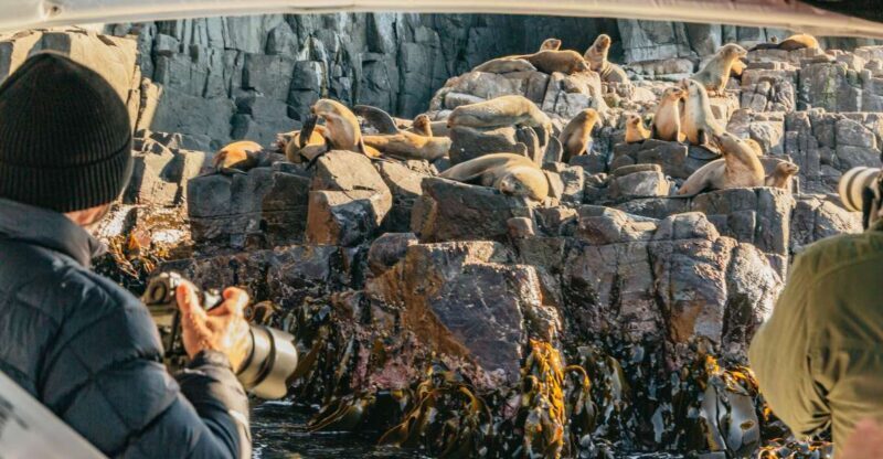 From Hobart/Adventure Bay: Bruny Island Wilderness Cruise - Introduction